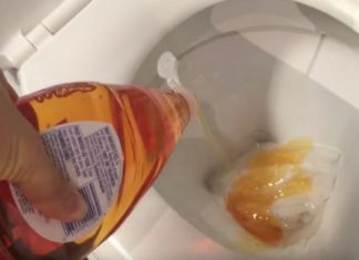 This is the brilliant reason why you should pour dish soap into your toilet!