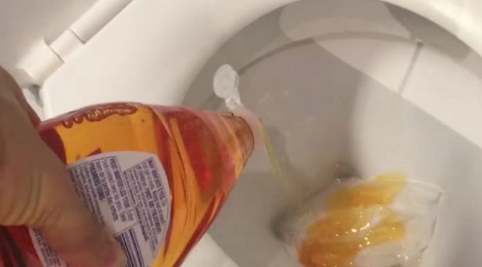 This is the brilliant reason why you should pour dish soap into your toilet!