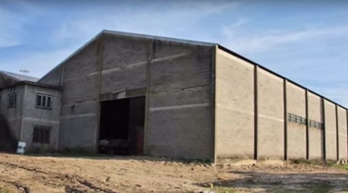 Ce couple de retraités a acheter une grange abandonnée et ce qu’ils ont trouvé à l’intérieur est absolument incroyable ! celeiro abandonado