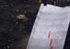 Les gens ont mis leurs anciens journaux dans leur jardin et VOICI pourquoi