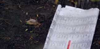 This is why you should put old newspapers in your garden