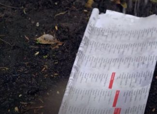 Dit is waarom je oude kranten in je tuin moet leggen
