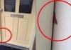 La police a averti au sujet de ces morceaux de carton entre la porte d’entrée ! Appelez la police lorsque vous voyez ça ! papelão