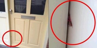Die Polizei warnt vor einem Stück Pappe das zwischen deiner Eingangstür klemmt! Solltest du das sehen, rufe sofort die Polizei papelão