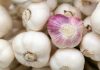 You should sleep with a clove of garlic under your pillow!