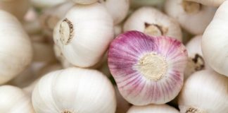 You should sleep with a clove of garlic under your pillow!