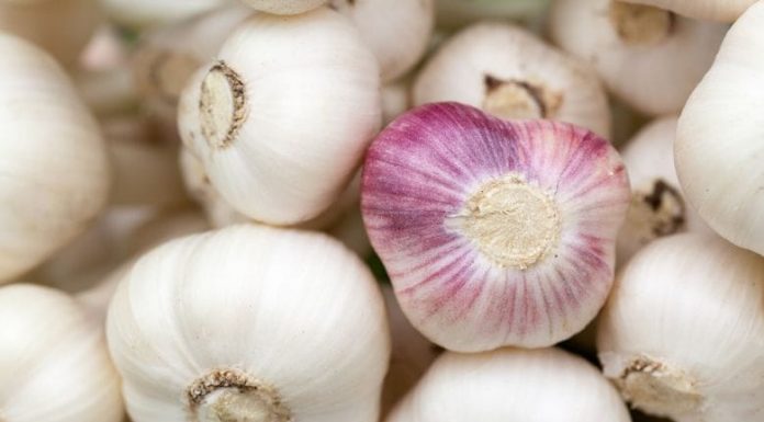 You should sleep with a clove of garlic under your pillow!