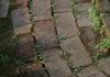 Ajuda, ervas daninhas entre as pedras de pavimentação! Esta dica simples irá remover suas ervas daninhas muito rapidamente!