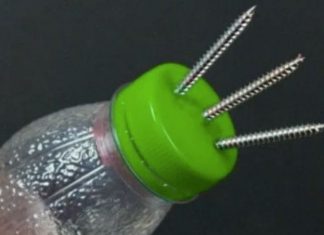 ¿Has utilizado botellas de plástico en tu hogar? ¡No te imaginas lo que puedes hacer con ellas!