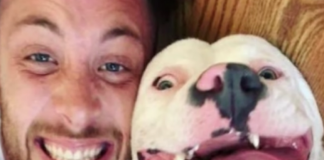A photo of a happy adopted dog was all the evidence the police needed