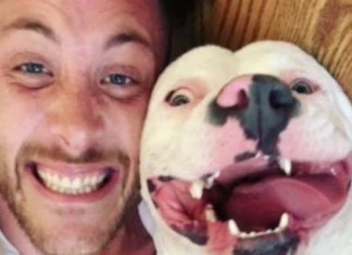 A photo of a happy adopted dog was all the evidence the police needed