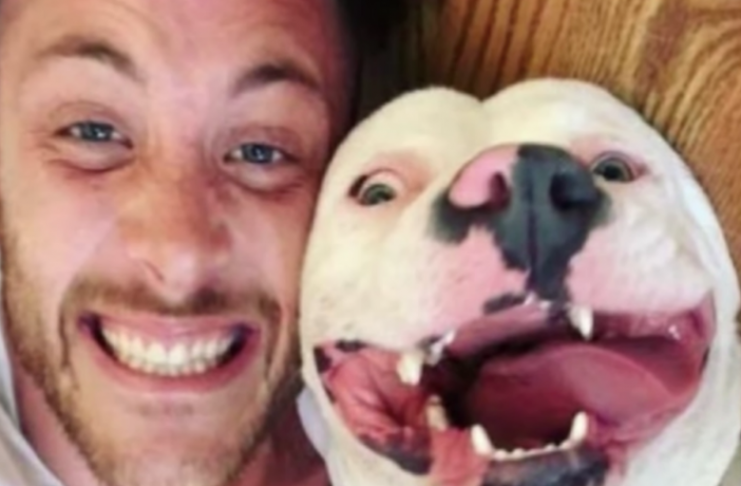 A photo of a happy adopted dog was all the evidence the police needed