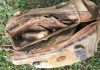Boy calls the police after fishing an old bag out of the water and looking inside