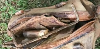 Boy calls the police after fishing an old bag out of the water and looking inside